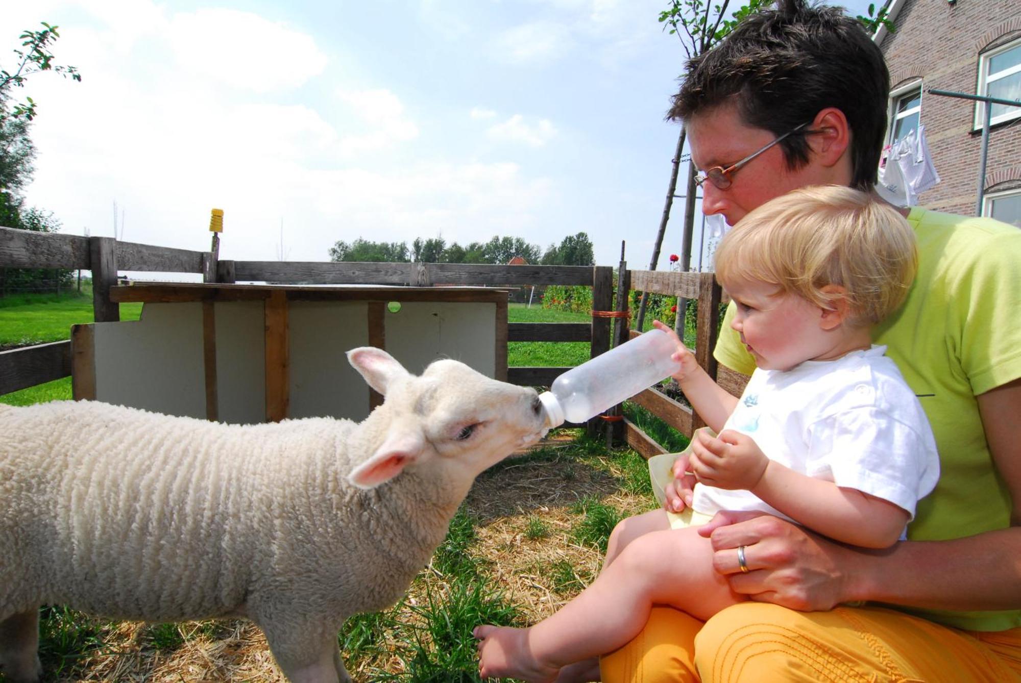 Farm Overleekerhoeve Monnickendam Luaran gambar